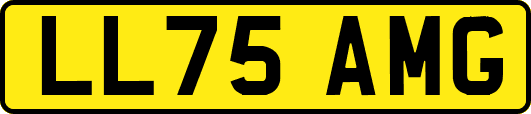 LL75AMG