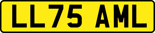 LL75AML