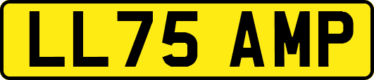 LL75AMP