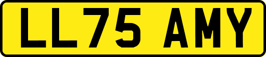 LL75AMY