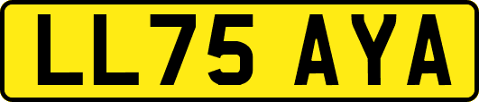 LL75AYA