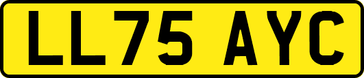 LL75AYC