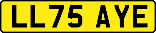LL75AYE