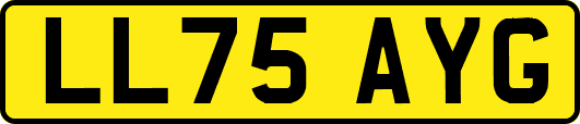 LL75AYG