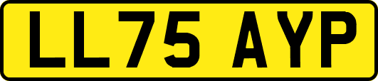 LL75AYP