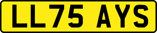 LL75AYS