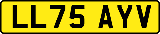 LL75AYV