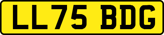 LL75BDG