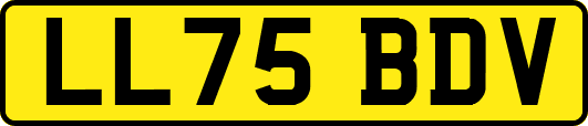 LL75BDV