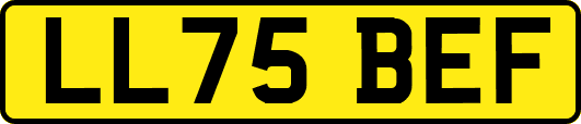 LL75BEF