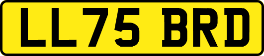 LL75BRD
