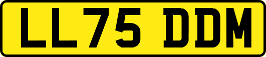 LL75DDM