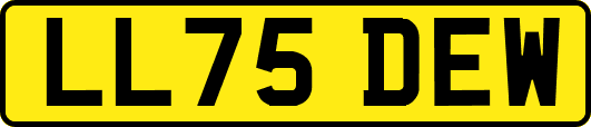 LL75DEW