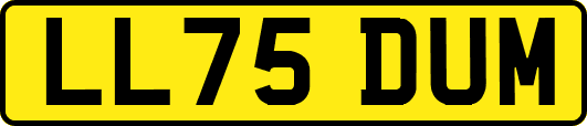 LL75DUM