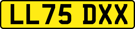 LL75DXX