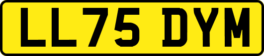 LL75DYM