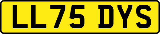 LL75DYS