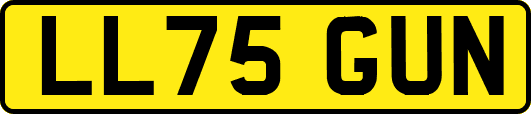 LL75GUN