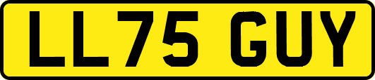 LL75GUY