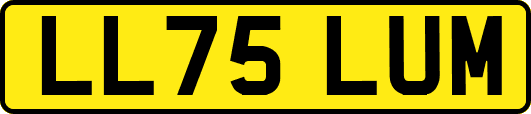 LL75LUM