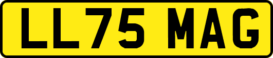 LL75MAG
