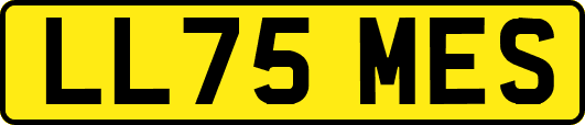 LL75MES