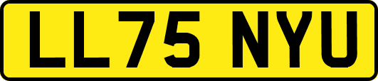 LL75NYU