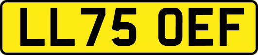 LL75OEF