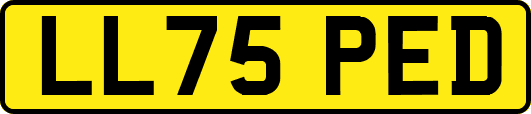 LL75PED