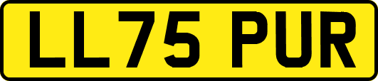 LL75PUR