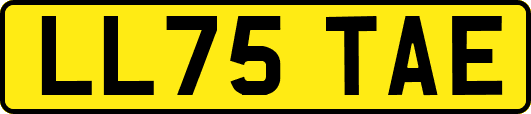 LL75TAE