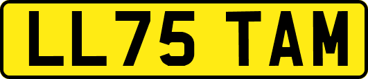 LL75TAM