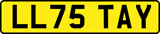 LL75TAY