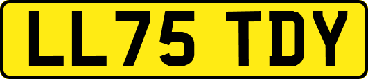 LL75TDY
