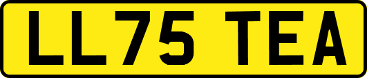 LL75TEA