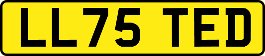 LL75TED