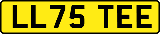 LL75TEE