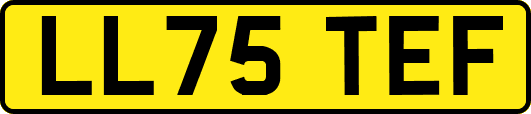LL75TEF