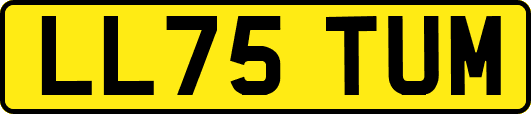 LL75TUM
