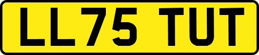 LL75TUT