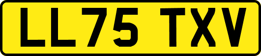 LL75TXV