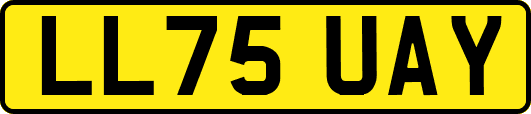 LL75UAY