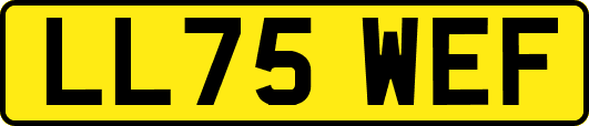 LL75WEF