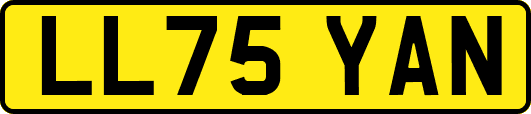 LL75YAN