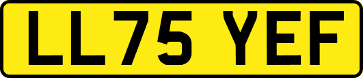 LL75YEF