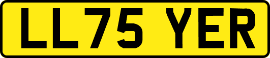 LL75YER