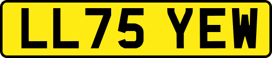 LL75YEW