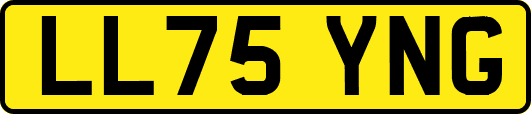 LL75YNG