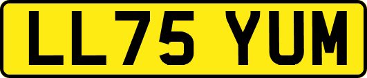 LL75YUM