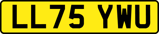 LL75YWU